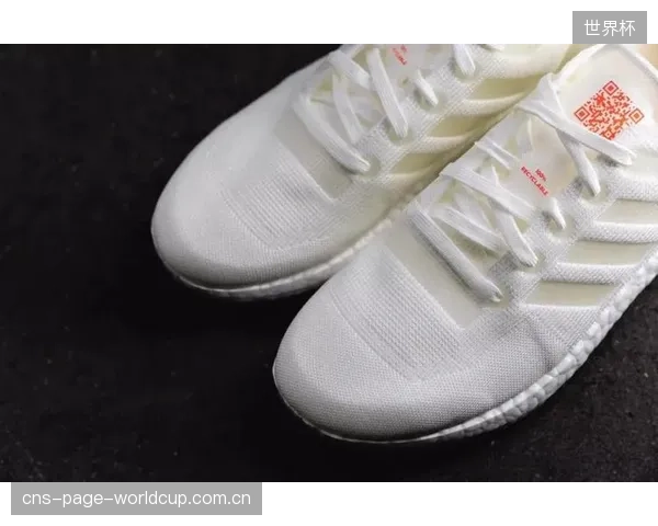 阿迪达斯FUTURECRAFT.LOOP跑鞋在上海市场的试点回收，验证了单一热塑性聚氨酯材料闭环系统的商业潜力
